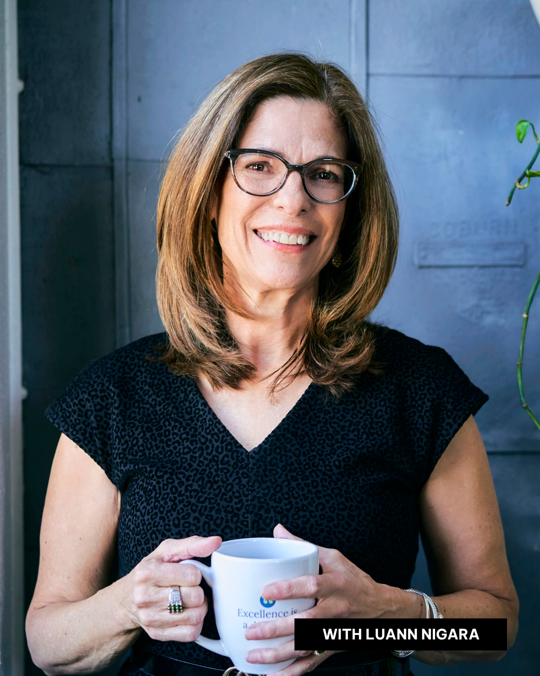 188 - Visualize your way to success with LuAnn Nigara
